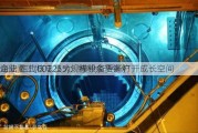 海陆重工(002255)：特种余热锅炉
企业 四代核电及大规模设备更新打开成长空间