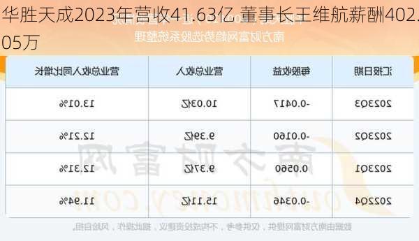 华胜天成2023年营收41.63亿 董事长王维航薪酬402.05万